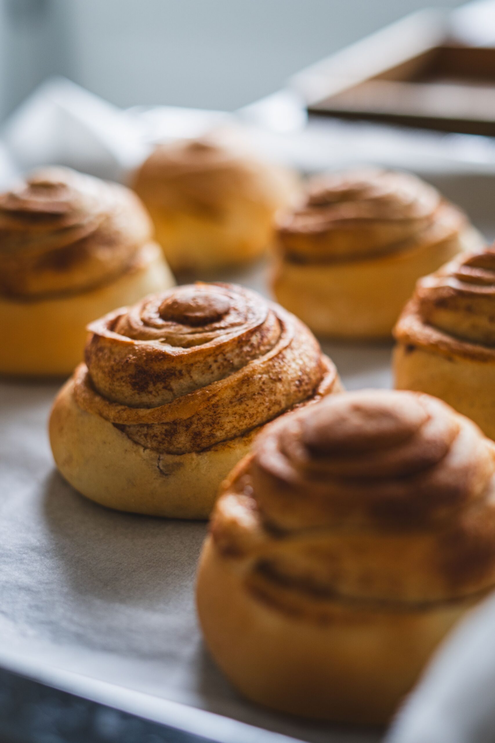 Rolling enriched yeast dough tightly over brown sugar and cinnamon butter filling